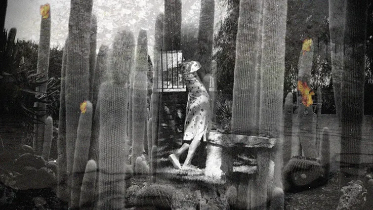 PATRICIA REINHART, Ciné Collage, Film still „ Anoir and the Woman in the Garden - Frida “, 2025